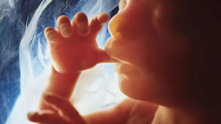Aborcja jest aktem kultu Szatana