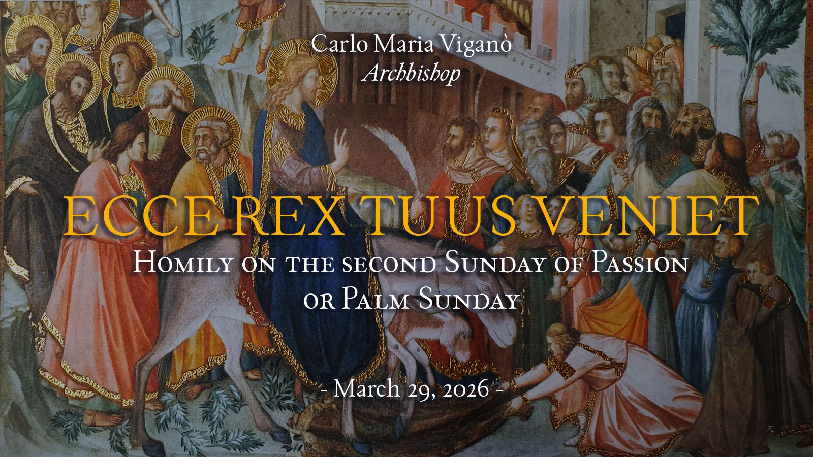 Ecce Rex tuus veniet
