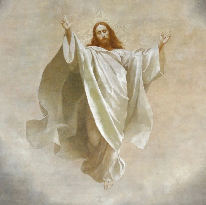 Sic veniet